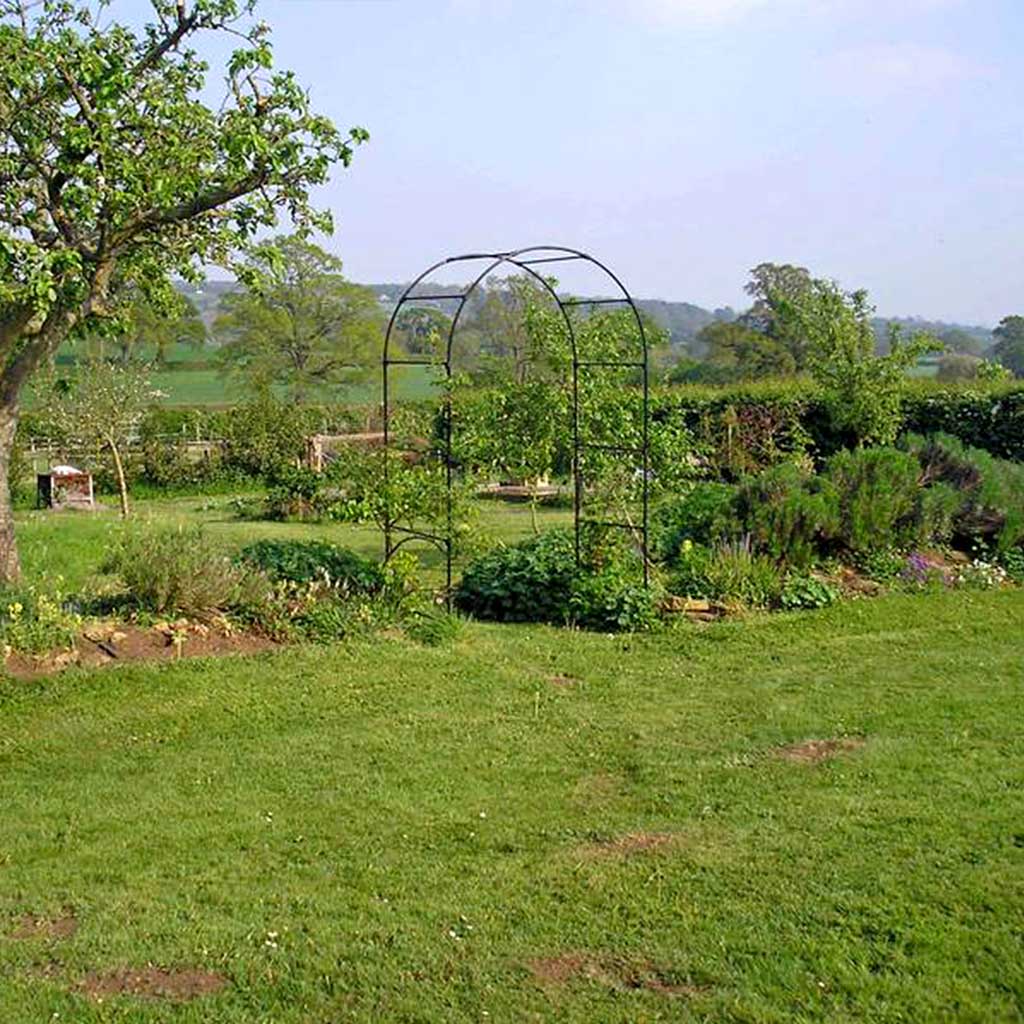 Fruit Tree Arch- wide shot- agriframes
