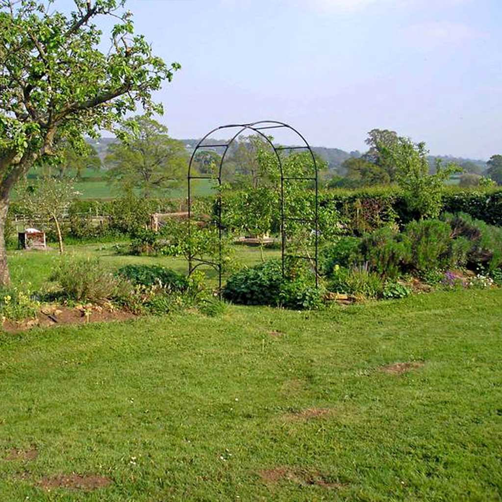 Fruit Tree Arch- wide shot- agriframes