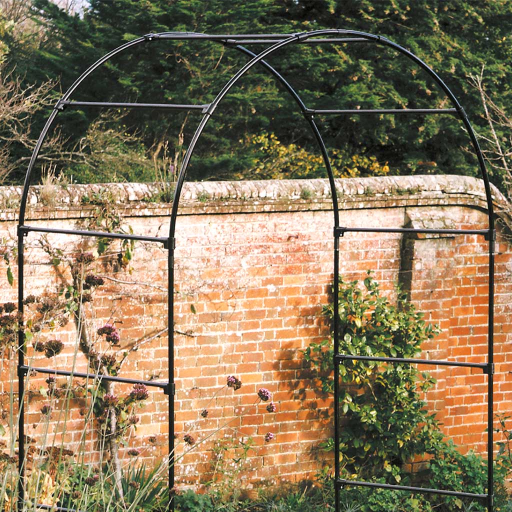 Fruit Tree Arch- in front of wall- agriframes