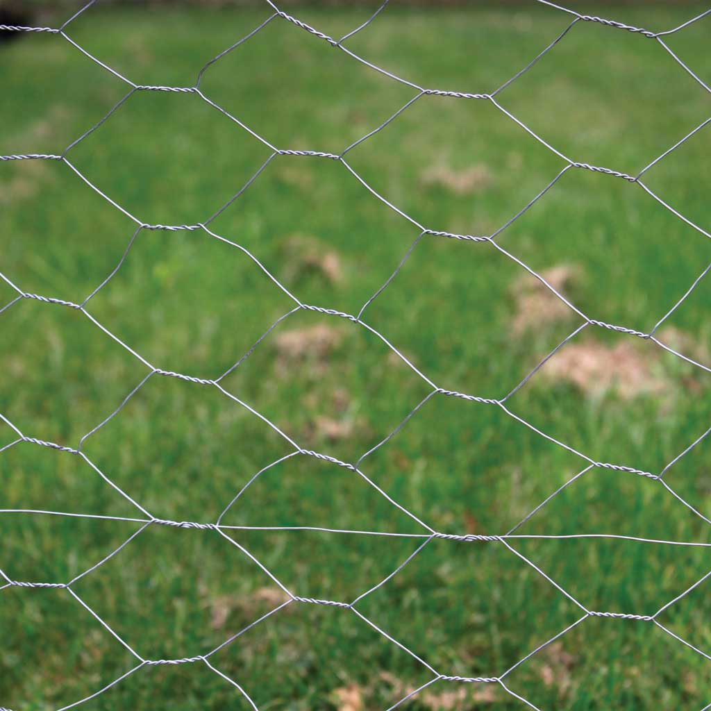 galvanised wire mesh in situ 