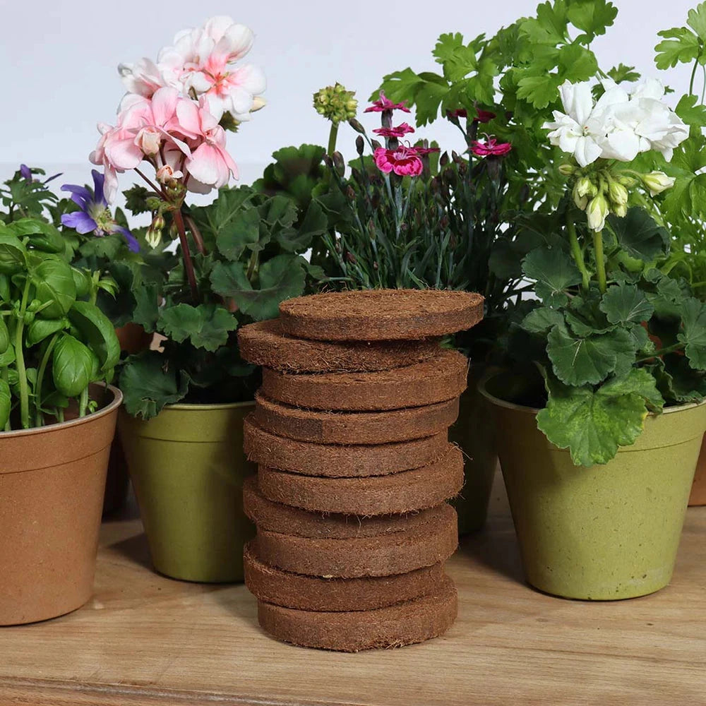 Peat Free Growlite Pack 10