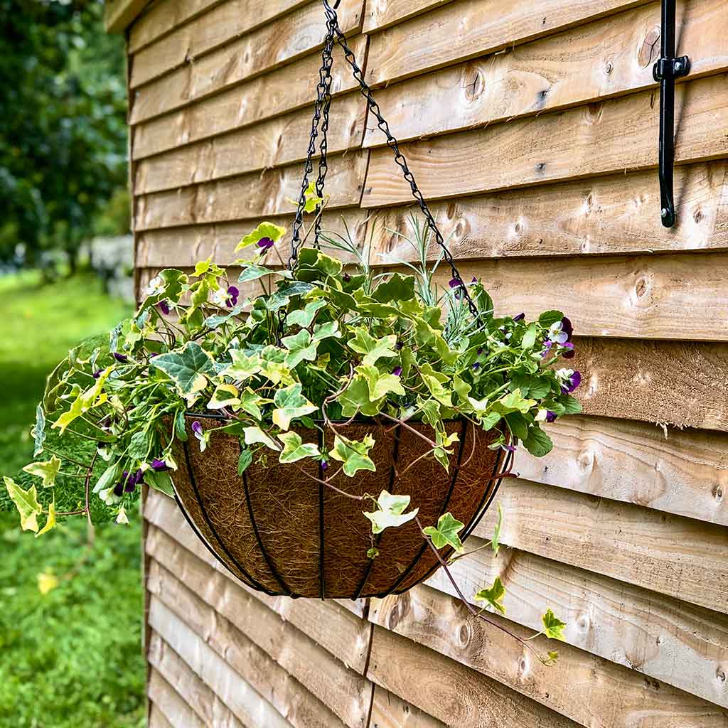 a hanging basket