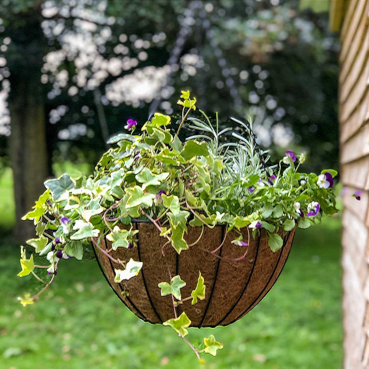 garden hanging basket with plants