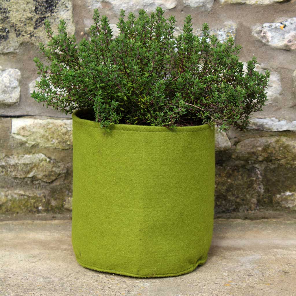 Vigoroot™ Pots & Planters