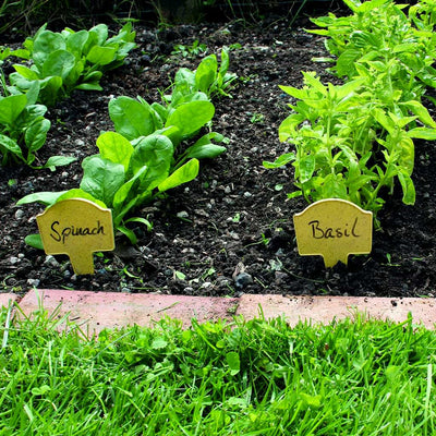 bamboo plant markers