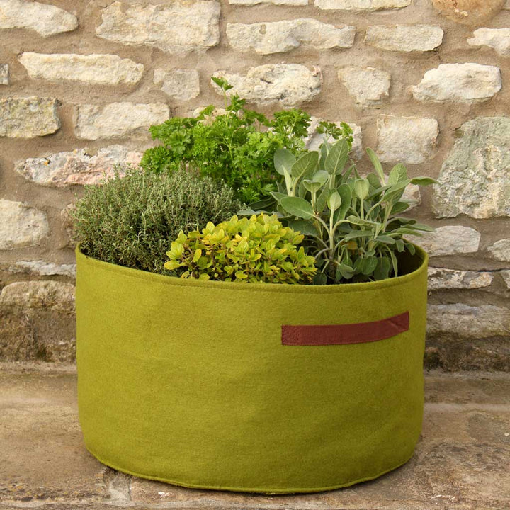 Haxnicks-Vigoroot-Herb-Planter-- agriframes