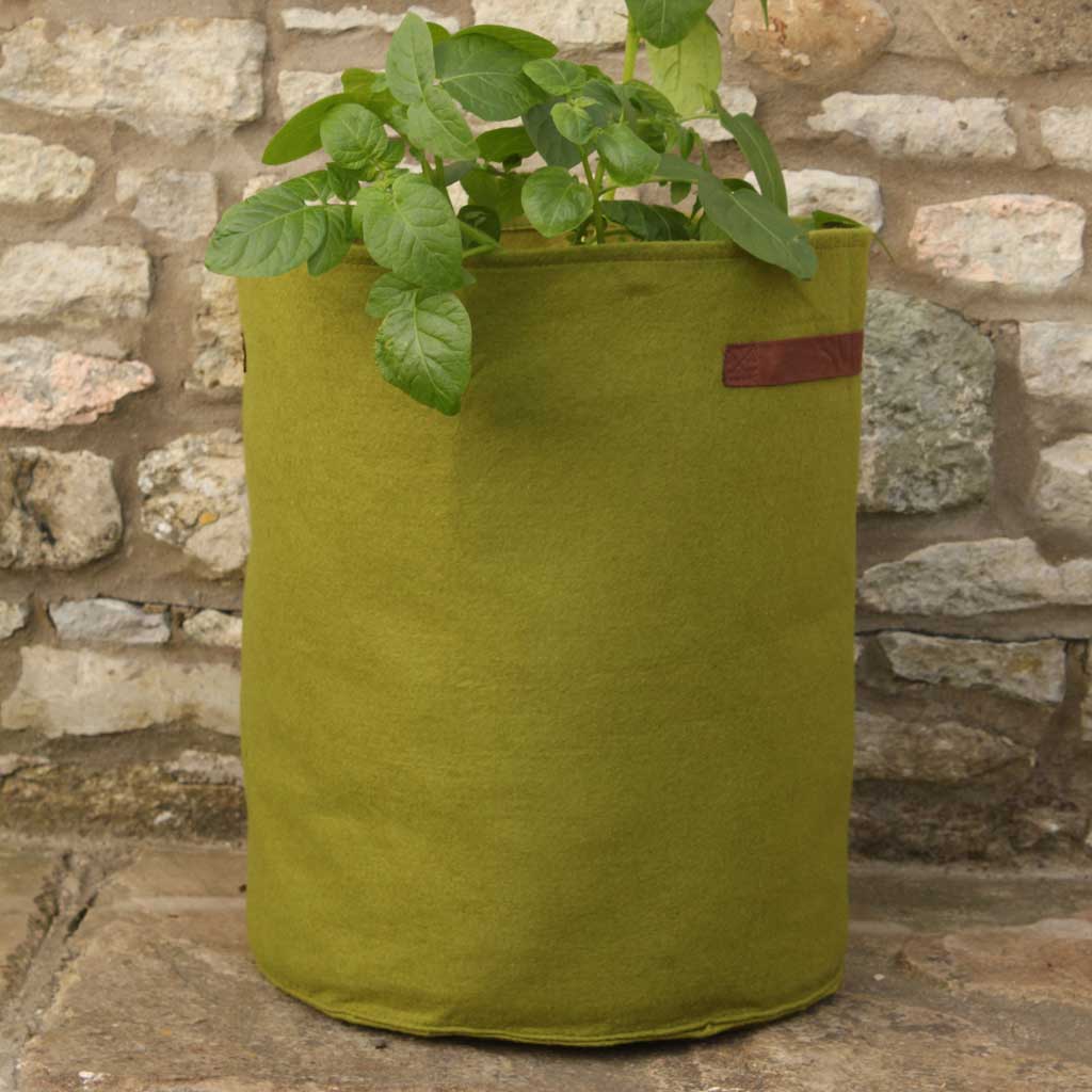 axnicks-Vigoroot_Potato_Tomato_Planter-agriframes