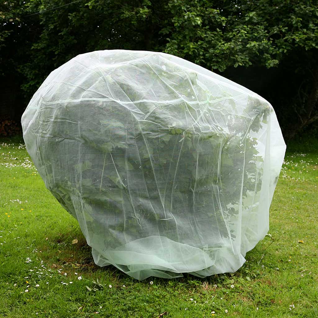 Fruit Tree Protection Net 2m – Agriframes UK