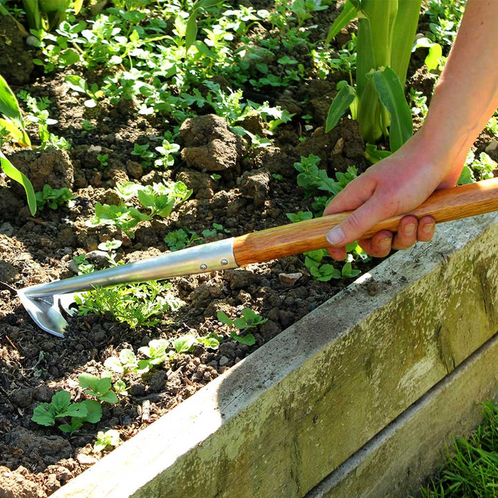 speedhoe precision - in use - agriframes- haxnicks