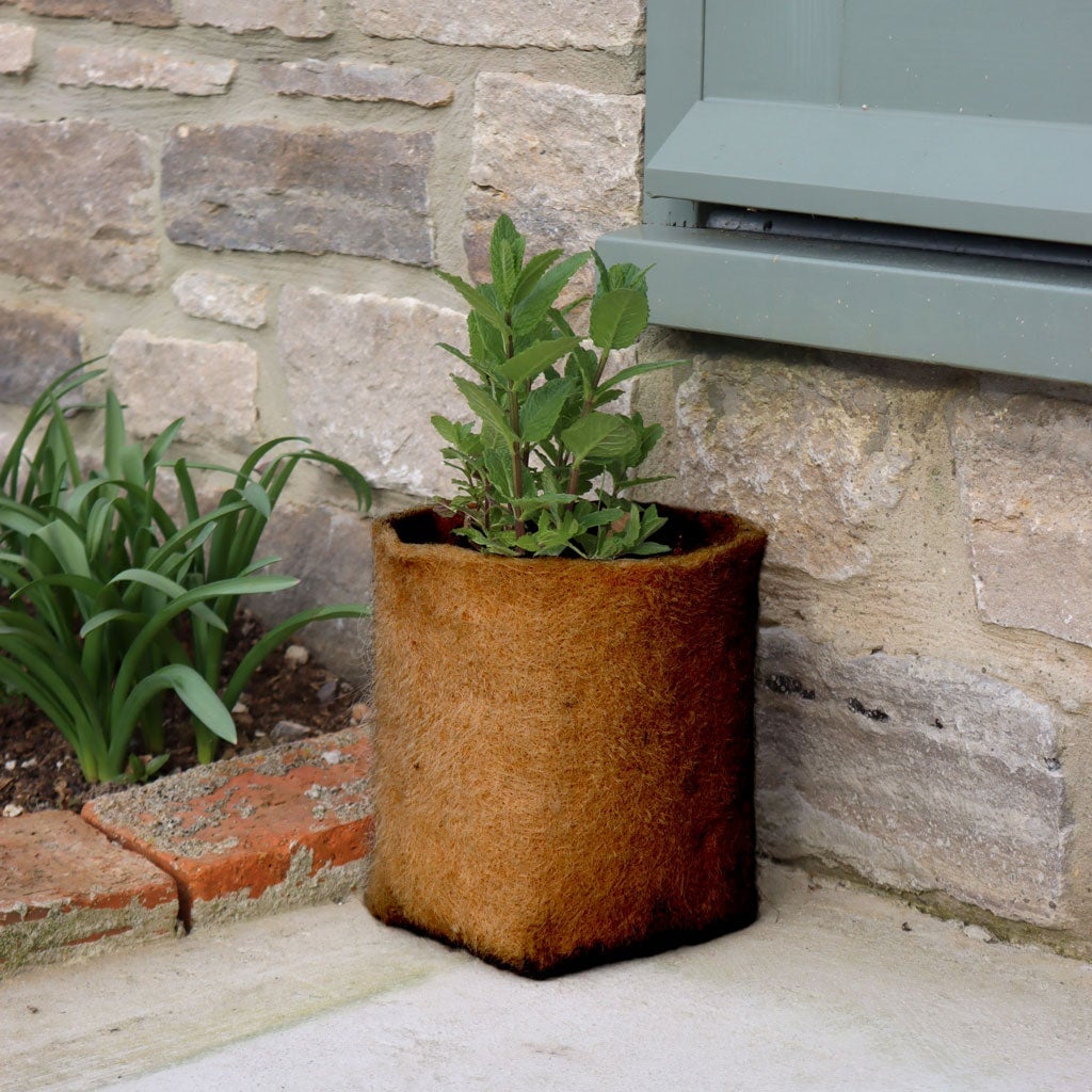 Hemp Pots