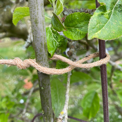 Eco Jute Twist Ties