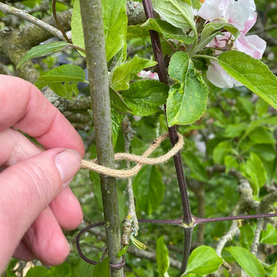 Eco Jute Twist Ties