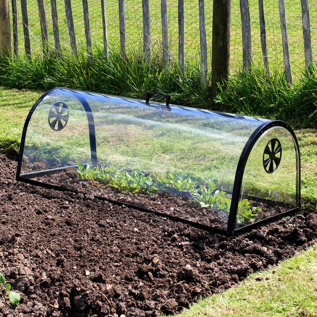 Kitchen garden cloche in use in garden 