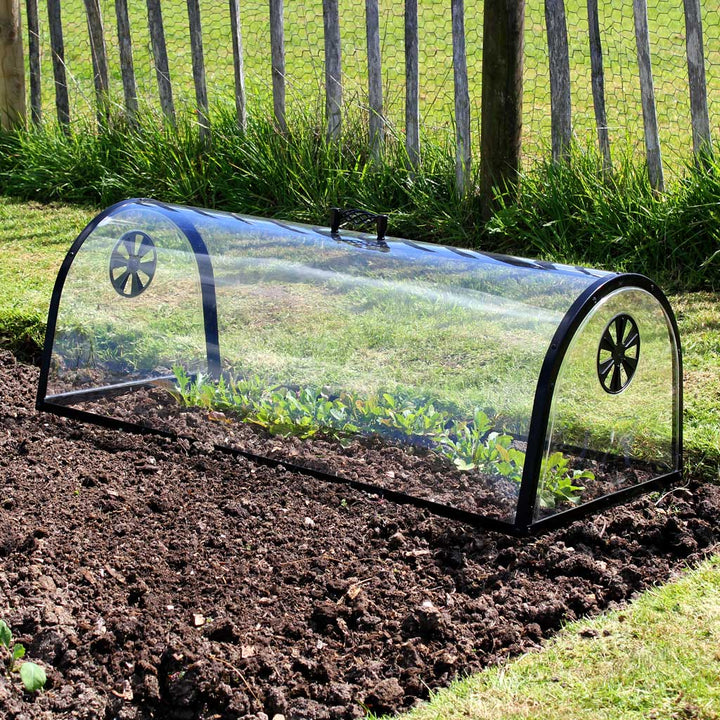 Kitchen garden cloche in use in garden 