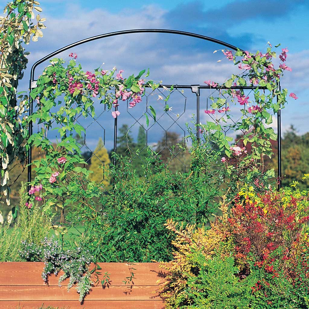 fencing screen with climbing flowers