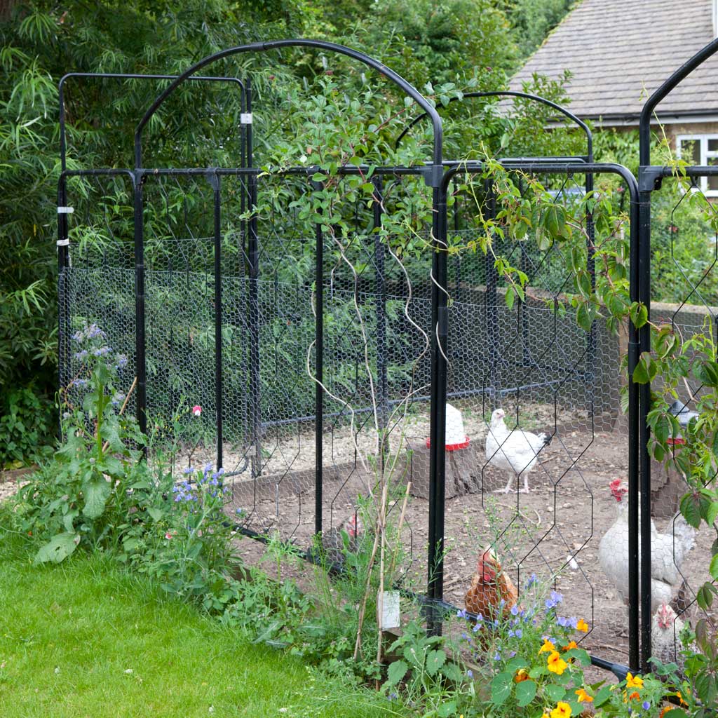fencing screen with chicken and chicken wire