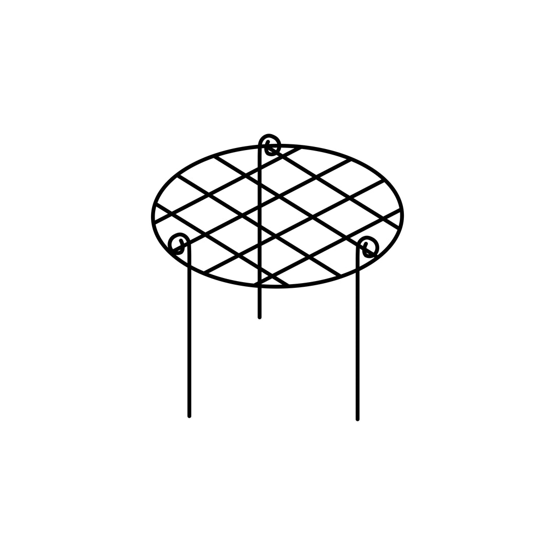 elegance grow through frame