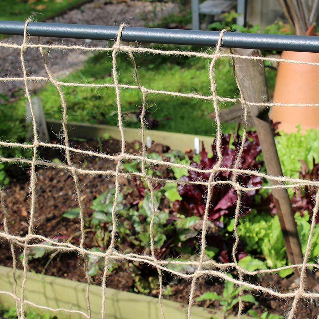 pea and bean hoops netting close up 