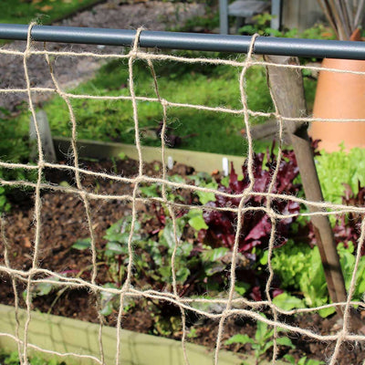 pea and bean hoops netting close up 