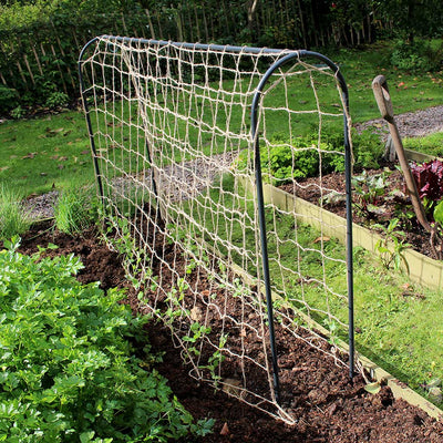 pea and bean hoops with netting in use in a garden 