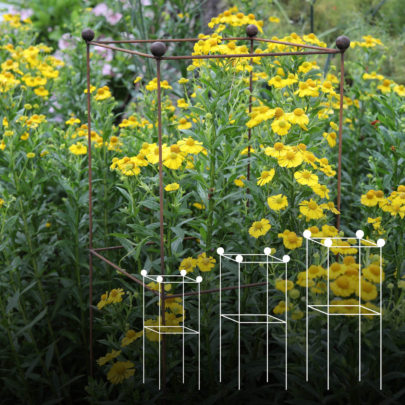 Tower Tall Plant Support Set Of 3 Agriframes Agriframes UK tower-tall-plant-support-set-of-3-agriframes-agriframes-uk