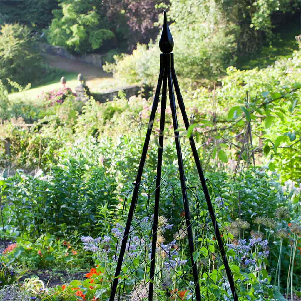 Pyramid Frame matt black in a garden 