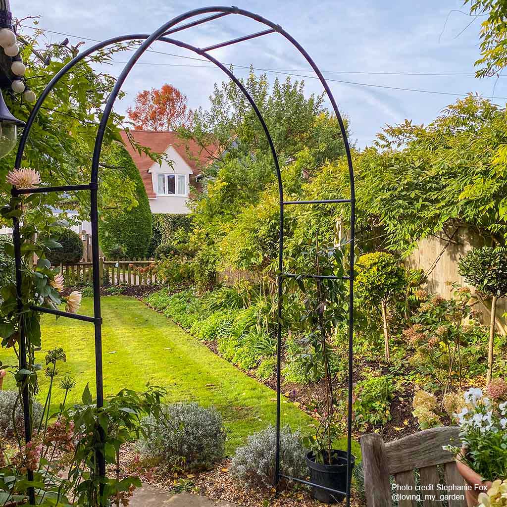 Round arch - phgoto credit Stephanie Fox @loving_my_garden