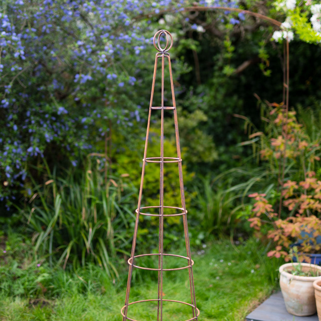 agriframes Salisbury Obelisk in rustic