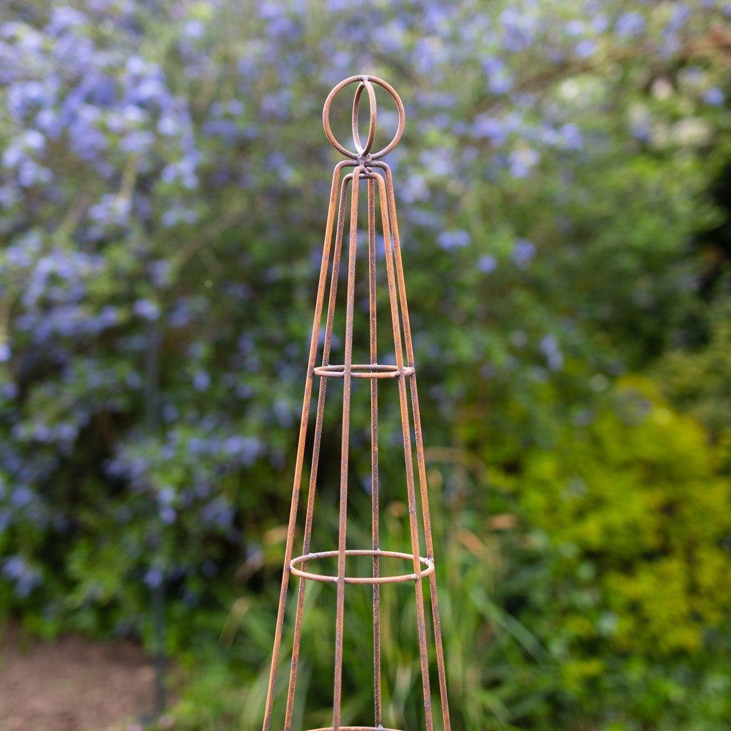 agriframes Salisbury Obelisk in rustic close up