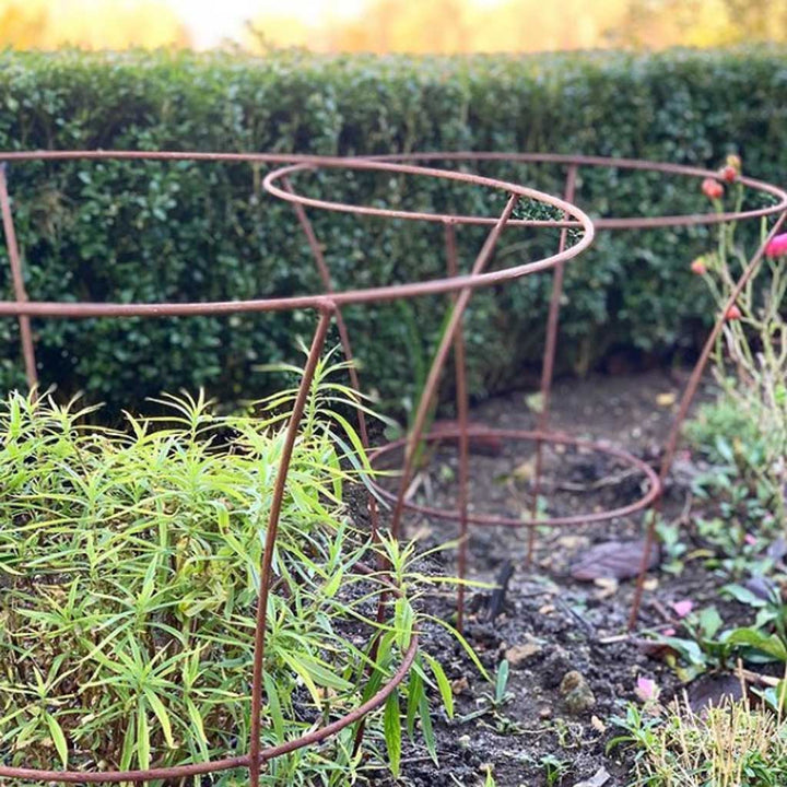 Plant Supports Peony Cage Support Peony Support HiGift Pack Peony