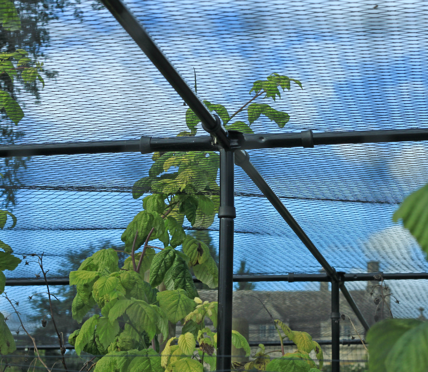 Superior Fruit Cage - Traditional Matt Black