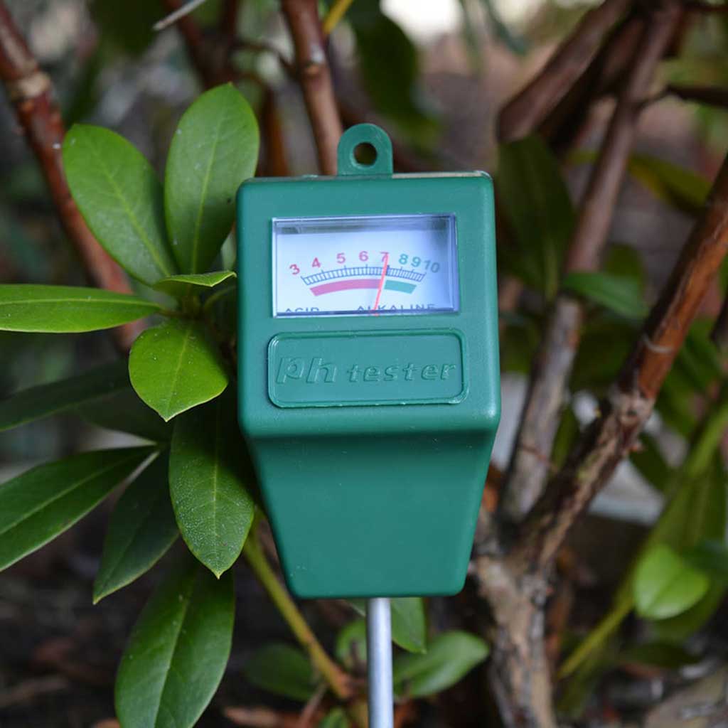 soil pH meter in use 