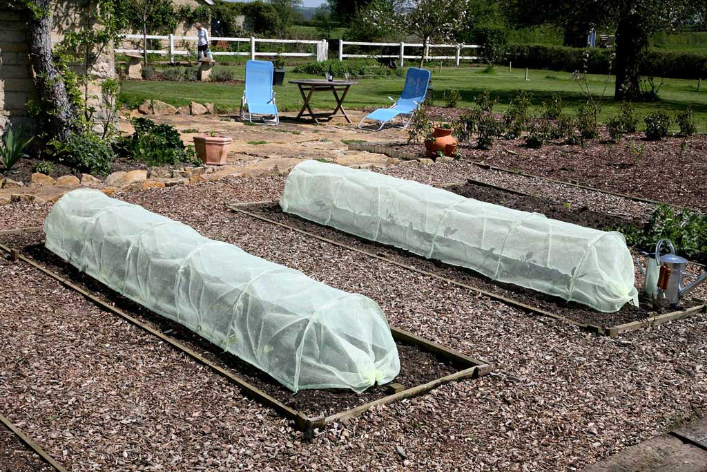 Easy micromesh tunnel pair in garden 