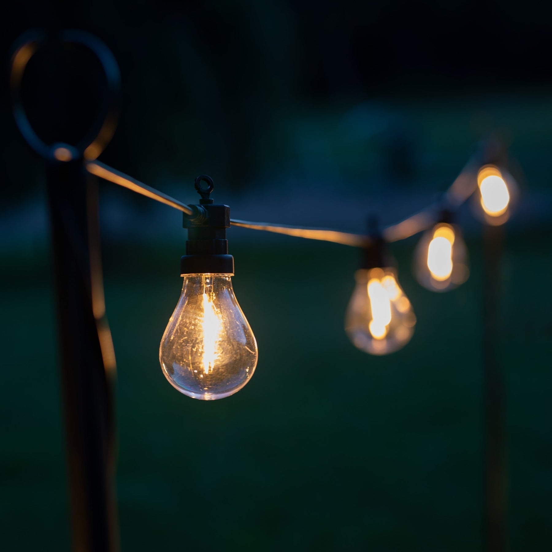 Festoon Light Pole - Matt Black (2.3m) | Agriframes