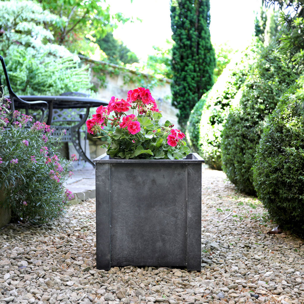 Vintage Zinc Planter with flowers growing in