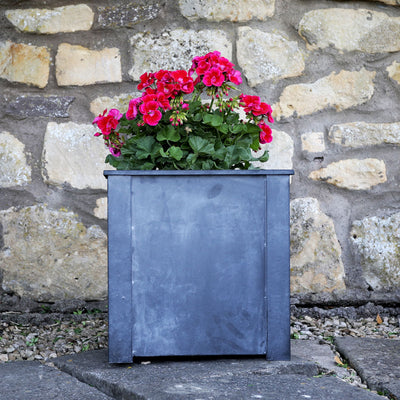 vintager planter- in use -agriframes
