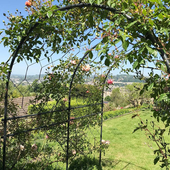 Round Pergola- with-lattice-agriframes