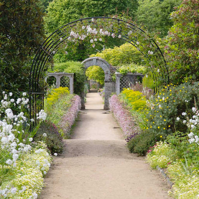 Round Pergola- wide on pathway straight on-agriframes