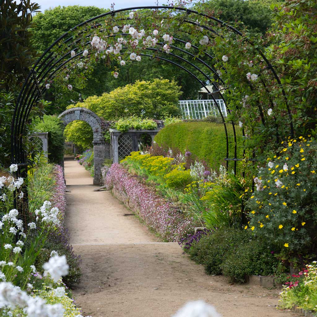 Round Pergola- wide on pathway-agriframes