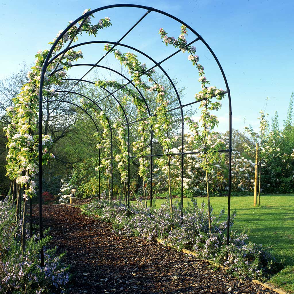 Round Pergola- low angle agriframes