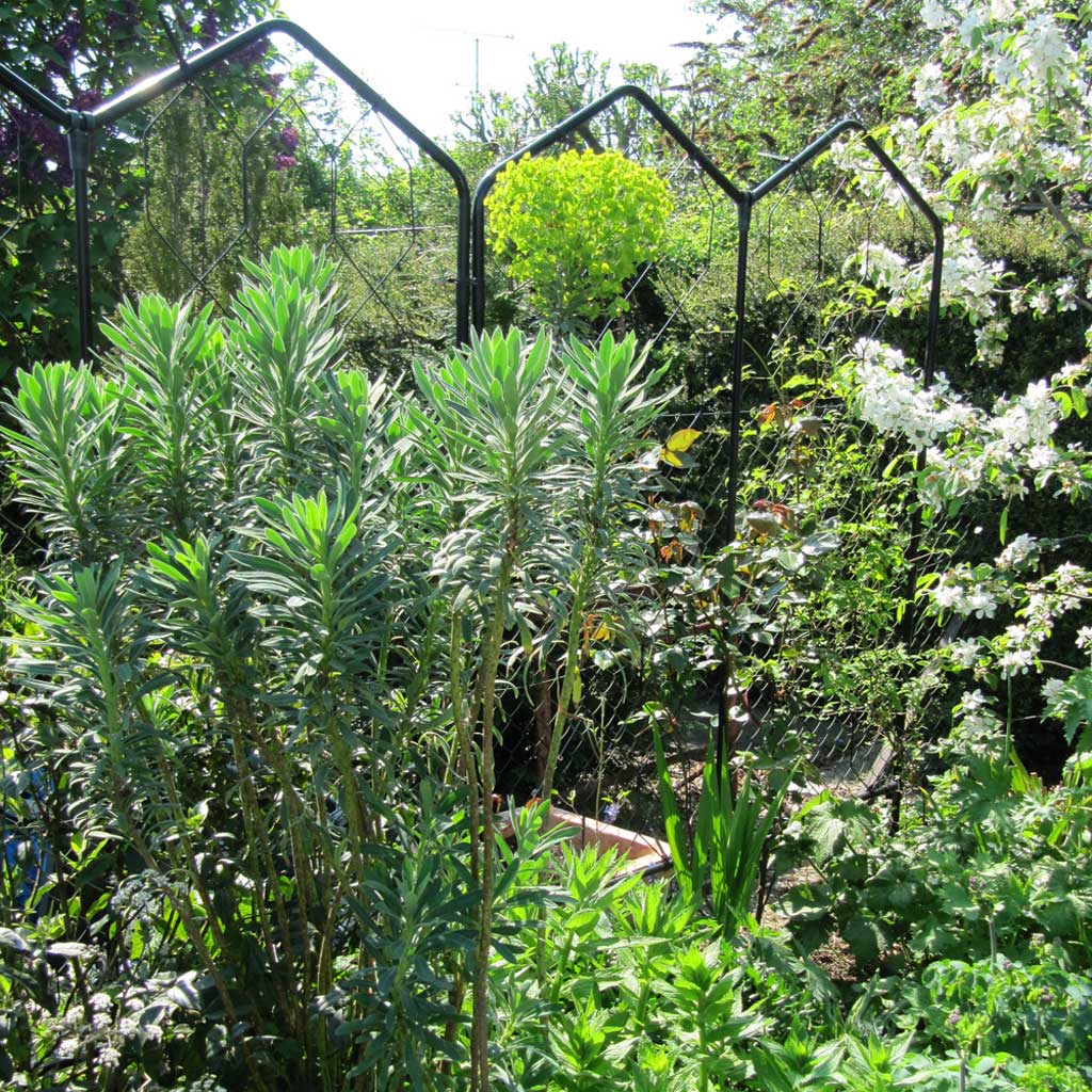 Alpine Screen- in use group side-agriframes