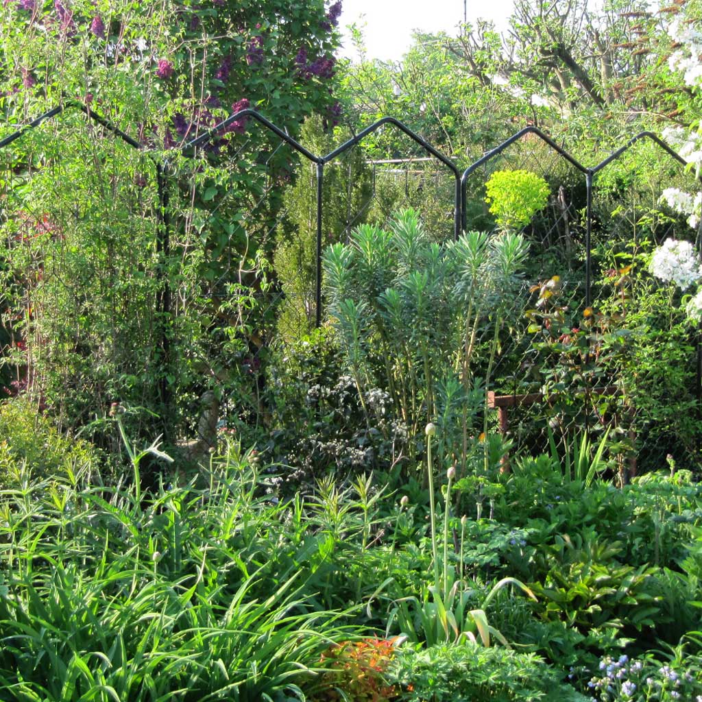 Alpine Screen | Garden Screens | Agriframes – Agriframes UK