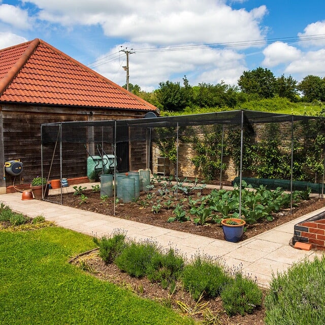 Aluminium walk in fruit cage containing a soil patch in a garden