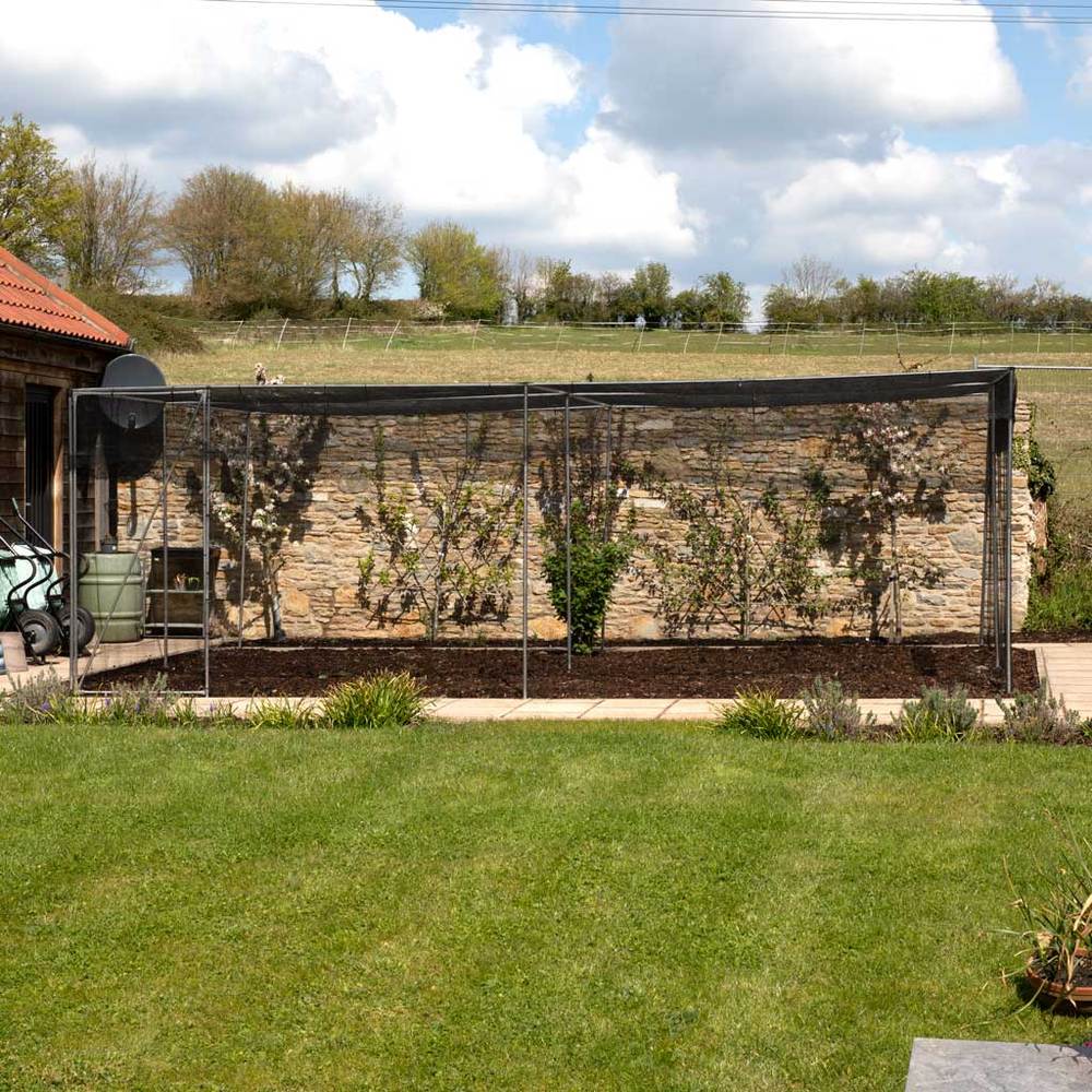 aluminium walk in fruit cage containing a soil patch in a garden