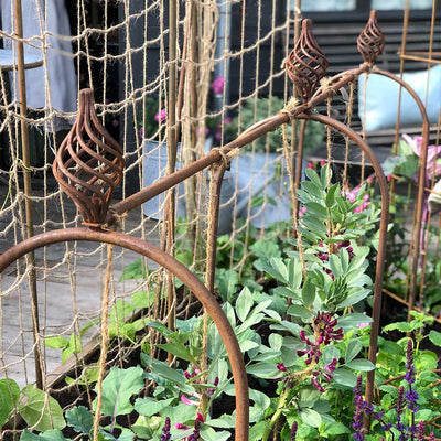 Elegance Pea & Bean Hoops in Rustic