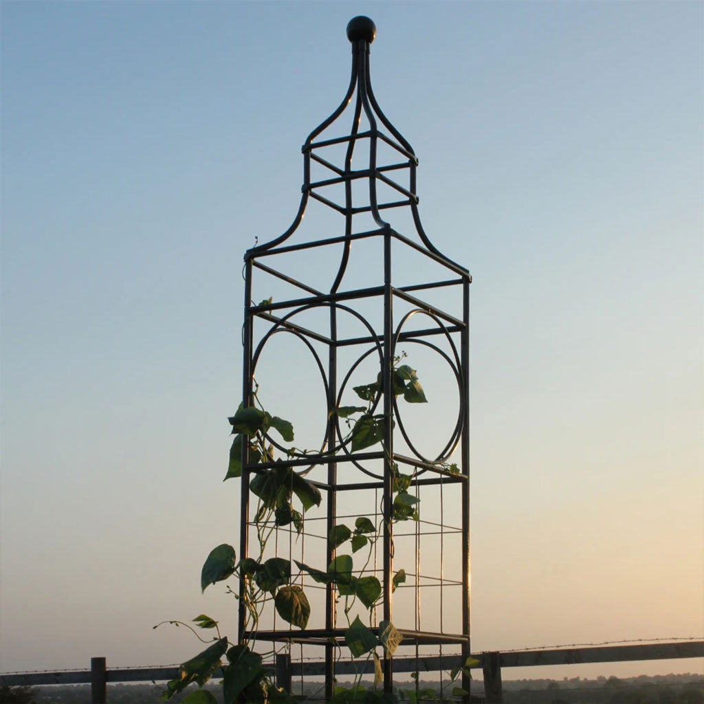 Big Ben Plant Frame | Agriframes