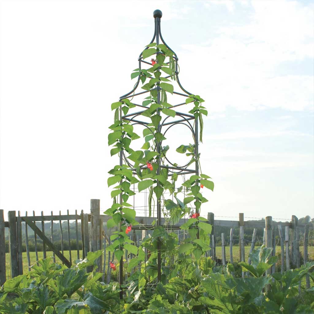 Big Ben Plant Frame