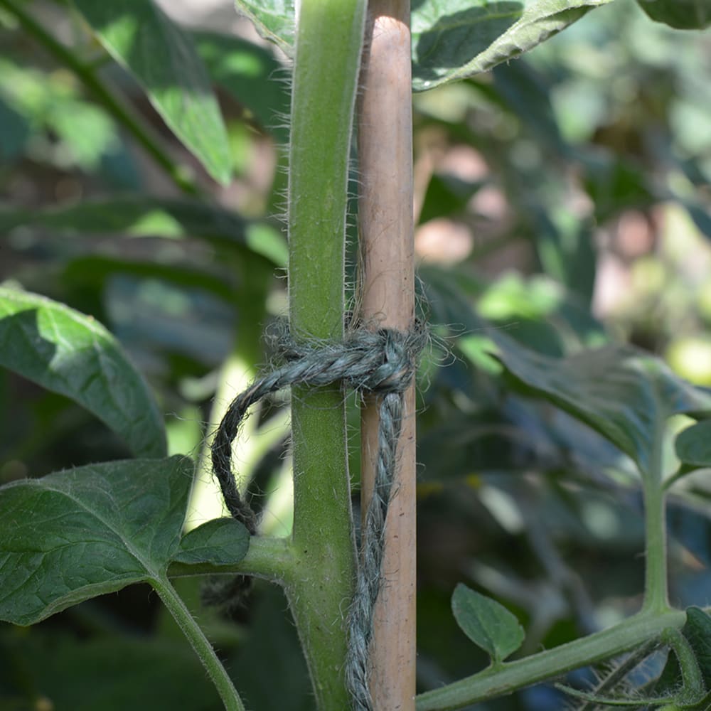 Biodegradable Jute Twine Green Close Up 