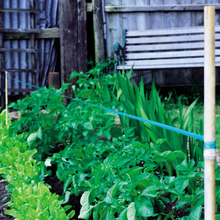 birdscare example in garden 