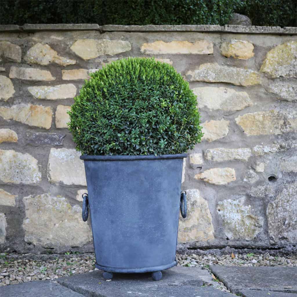 classic zinc planter in use 